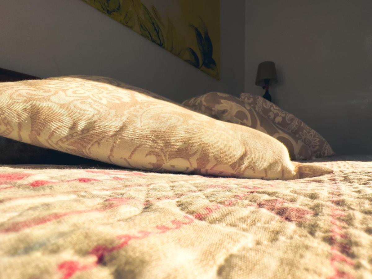 Tenuta Monteoliveto - Family Cottage - Agriturismo Nelle Langhe Vesime Экстерьер фото