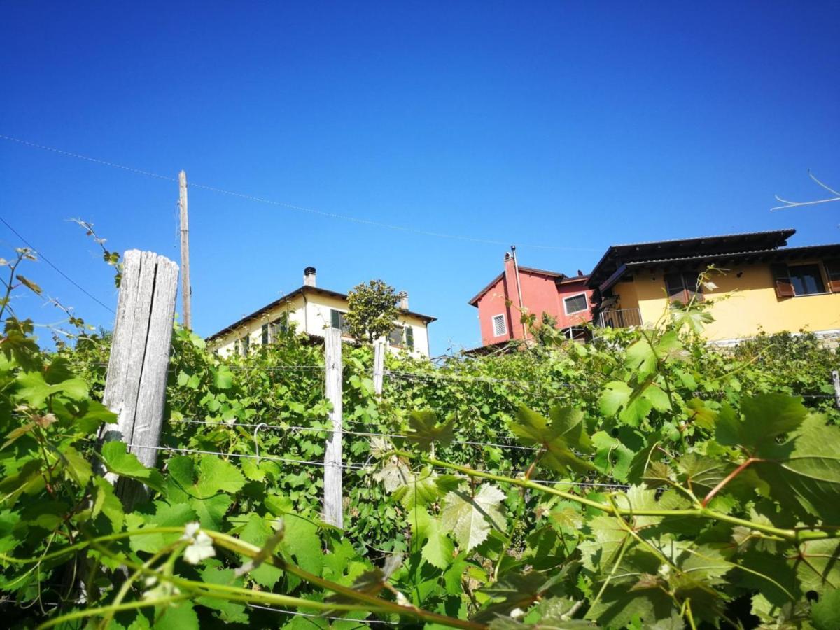 Tenuta Monteoliveto - Family Cottage - Agriturismo Nelle Langhe Vesime Экстерьер фото